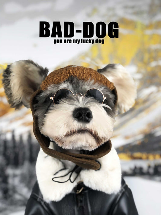 Dog Clothes Autumn And Winter Thickening Fashion Brand Fur Coat 1622699123783