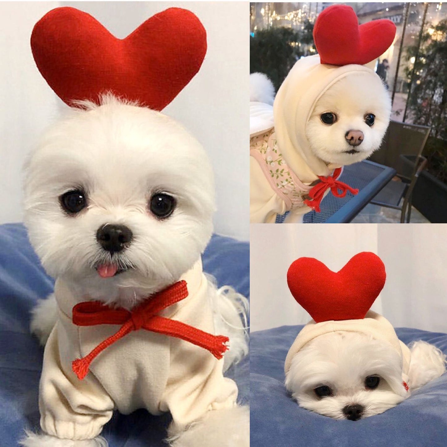 Cute Fruit Dog Clothes For Small Dogs Hoodies Winter Warm Fleece Pet Clothing Puppy Cat Costume Coat For French Chihuahua Out