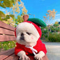 Cute Fruit Dog Clothes For Small Dogs Hoodies Winter Warm Fleece Pet Clothing Puppy Cat Costume Coat For French Chihuahua Out
