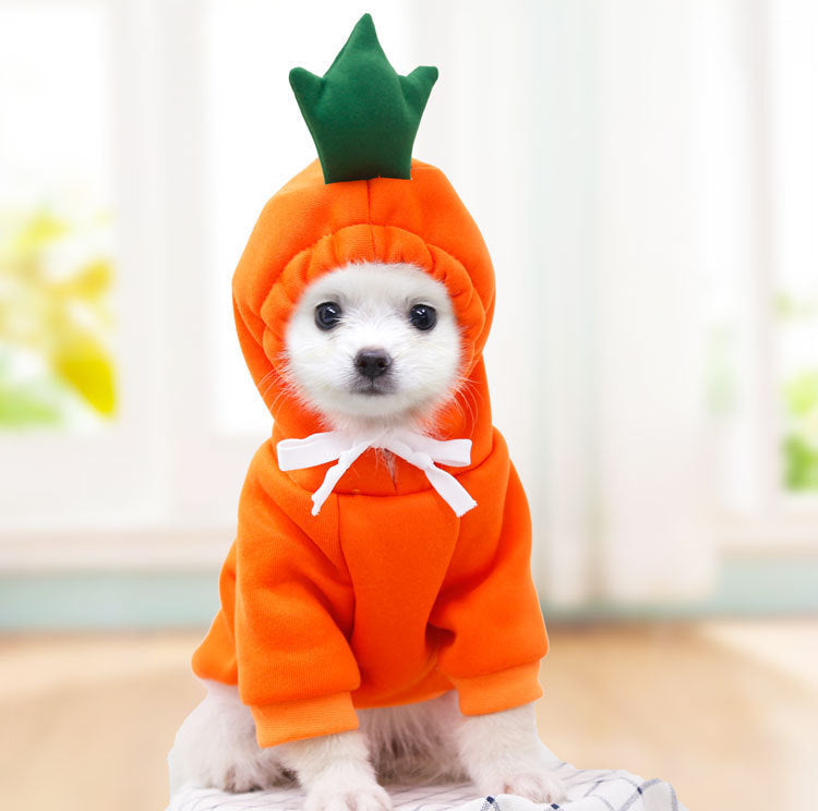Cute Fruit Dog Clothes For Small Dogs Hoodies Winter Warm Fleece Pet Clothing Puppy Cat Costume Coat For French Chihuahua Out