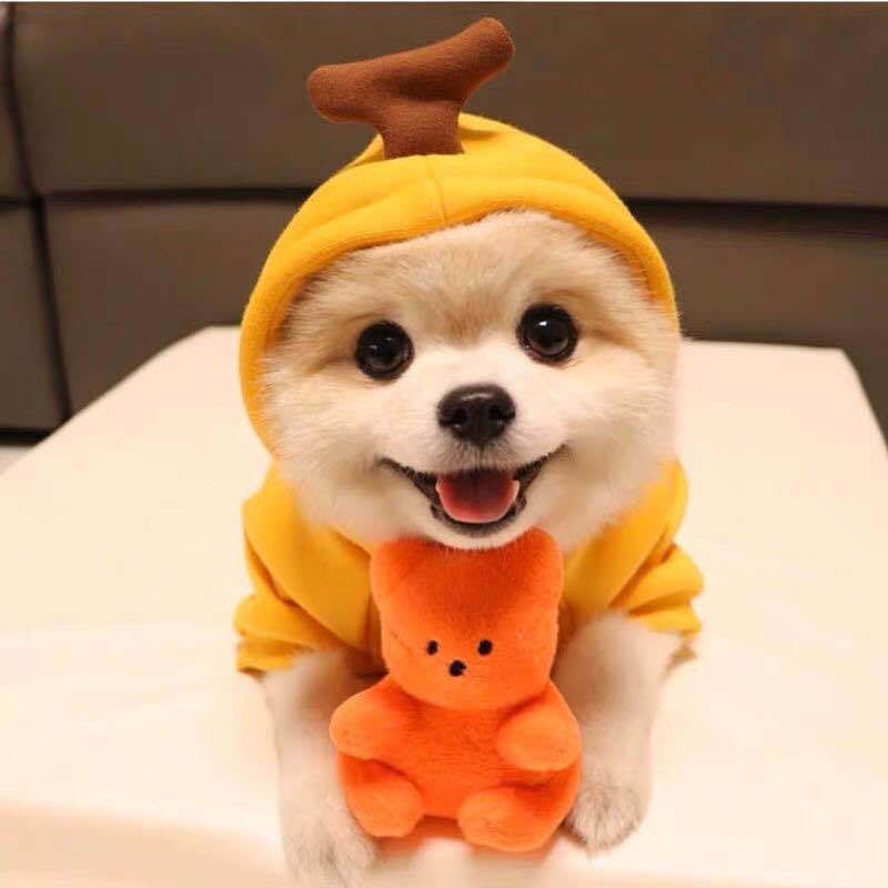 Cute Fruit Dog Clothes For Small Dogs Hoodies Winter Warm Fleece Pet Clothing Puppy Cat Costume Coat For French Chihuahua Out