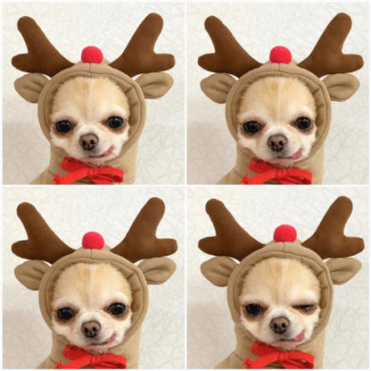Cute Fruit Dog Clothes For Small Dogs Hoodies Winter Warm Fleece Pet Clothing Puppy Cat Costume Coat For French Chihuahua Out