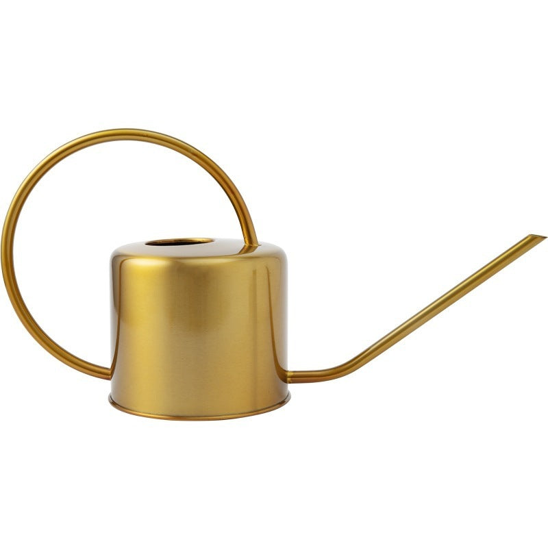 Brass Golden Watering Can And Stainless Steel Watering Can 1623826279755 06f1d522 b4ae 4f15 8ce6 c425502f14fb