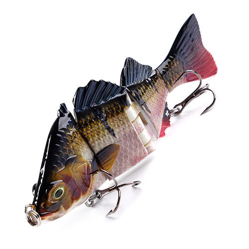 Lure More Than Silver Carp Sections 163d57fe c0de 4dce 8ebd bb34398299f1
