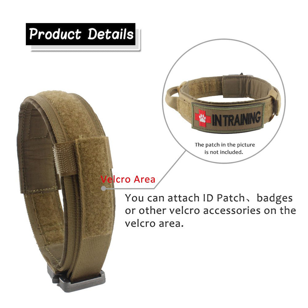 Dog collar 1643117750878