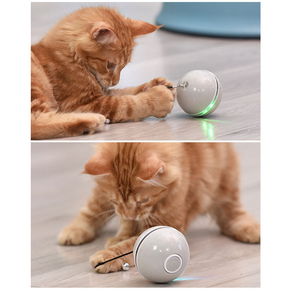 Colorful LED Laser Funny Cat Ball 1656386081515