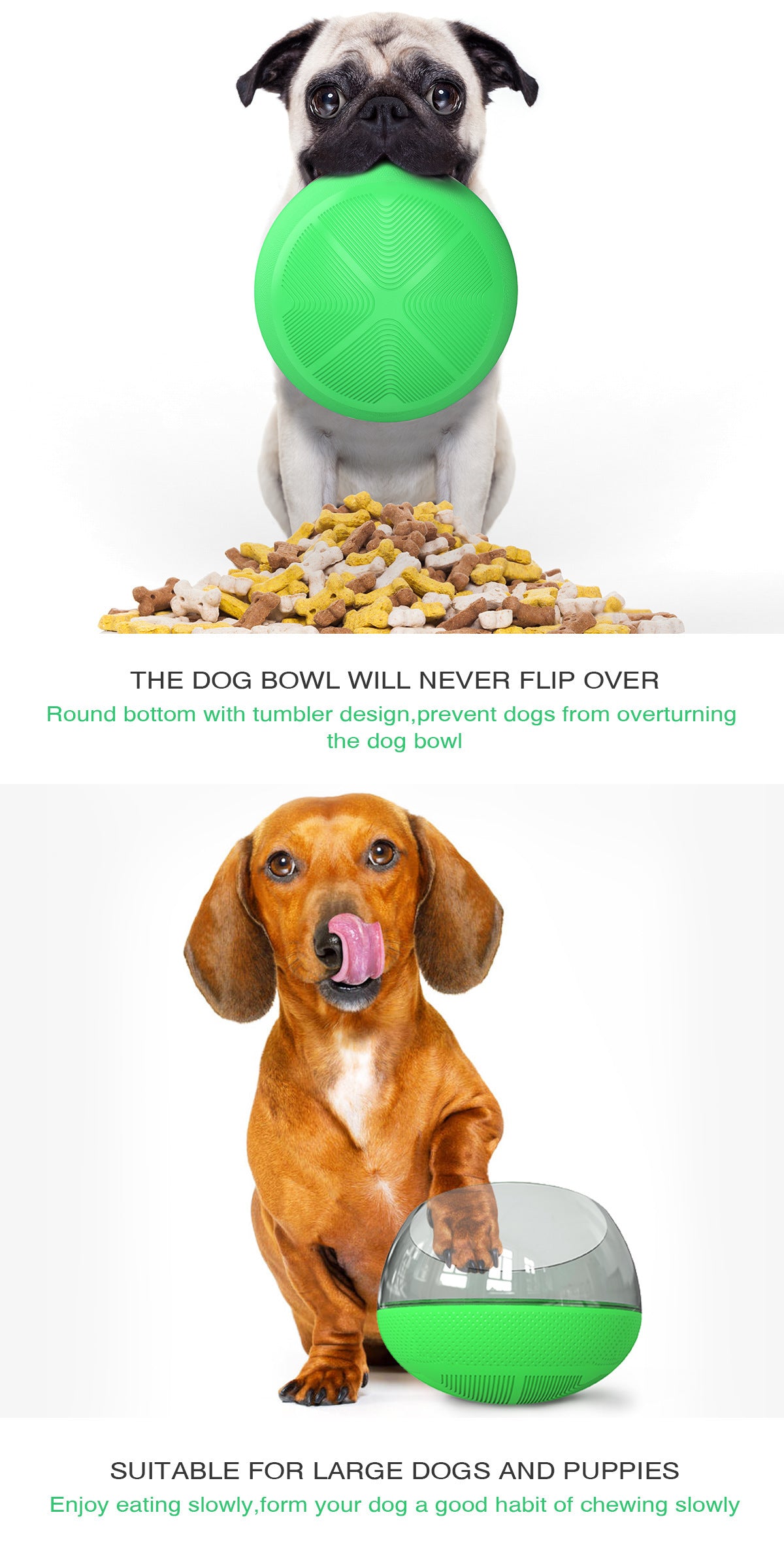 Slow food bowl 1678121096539