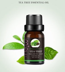 Essential oil 1691681823758