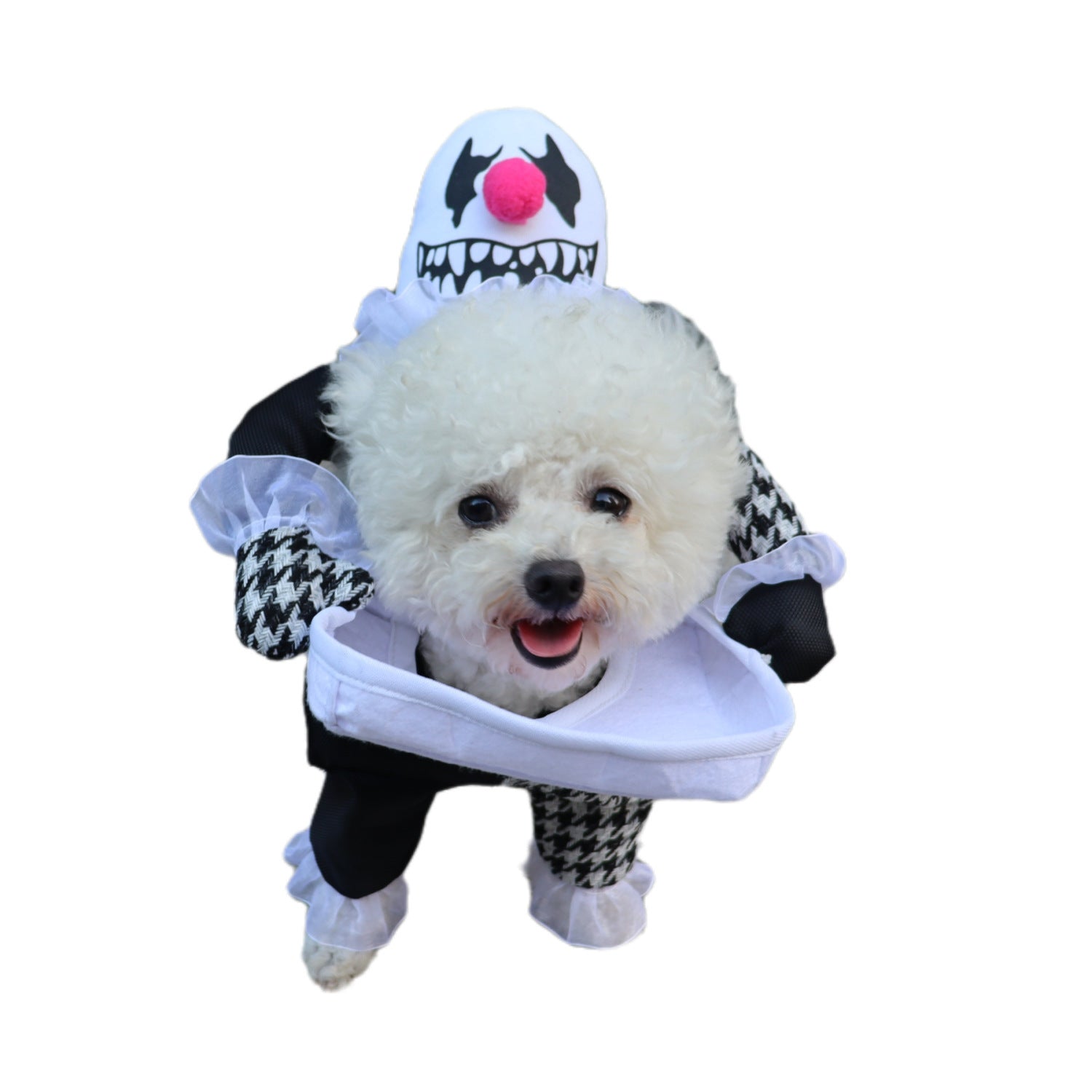 Pet Halloween Costume Photo Props Demon Transformation 16d59597 2dcc 4e8e ba99 74fa978928c2
