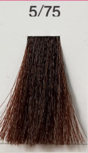 Ammonia-free hair dye