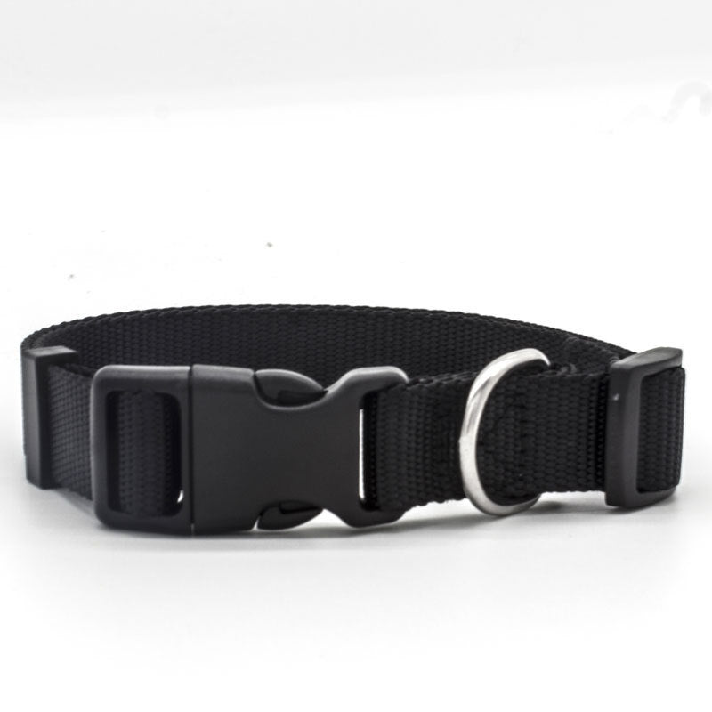 New Pet Collar 1718924536916
