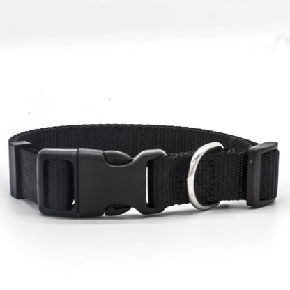 New Pet Collar 1718924536916
