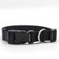 New Pet Collar 1718924536916