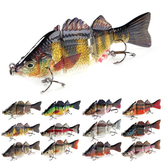 Lure More Than Silver Carp Sections 1742432446588260352
