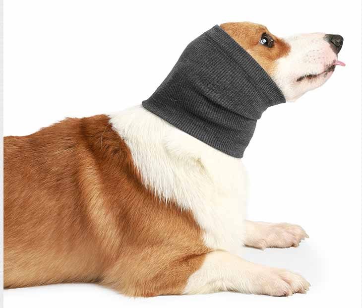 Simple Pet Dog Comfort Headgear Bib 180a72b6 b05b 420f ac12 4233293a7056