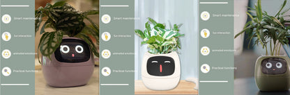 Smart Planter Endless Fun Over 49 Rich Expressions 7 Smart Sensors And AI Chips Make Raising Plants Easy And Fun 18237d53 6d5