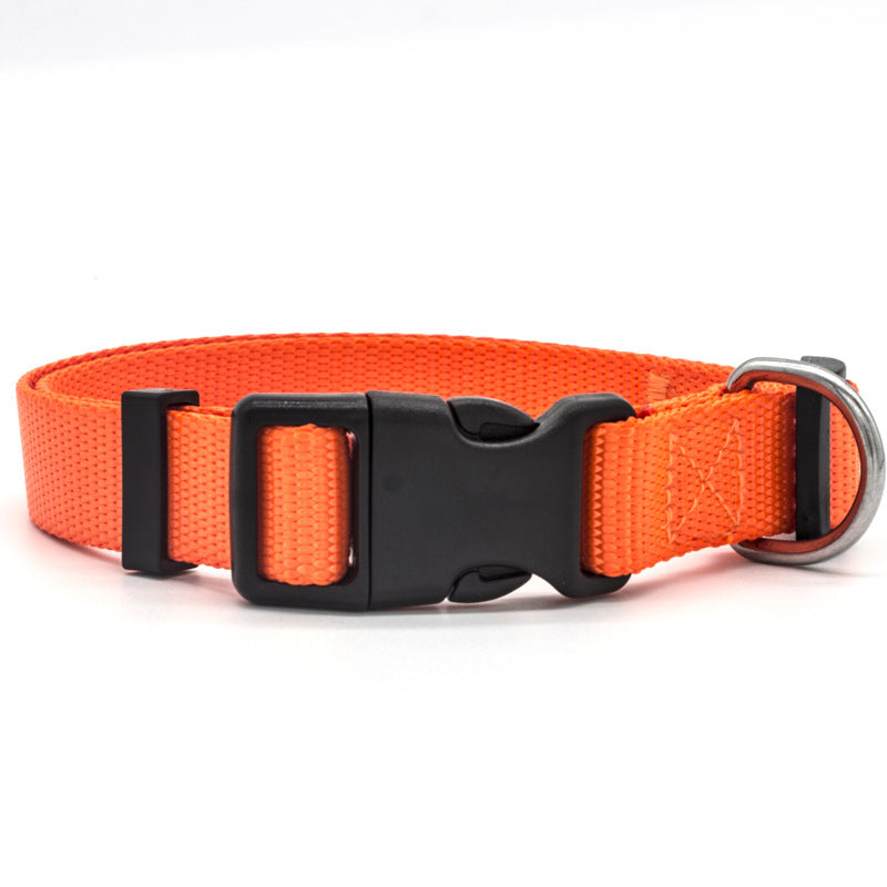 New Pet Collar 18899996785
