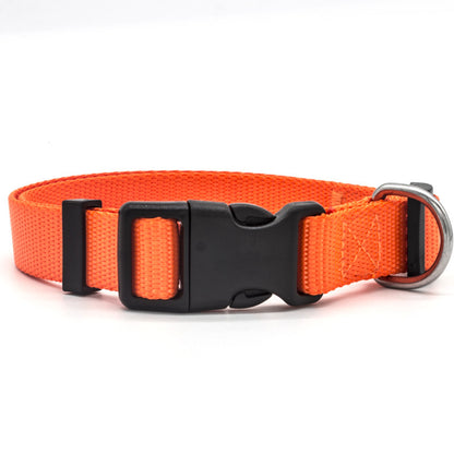New Pet Collar 18899996785