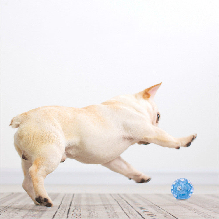 Multi-faceted sounding ball pet toy 196894016315