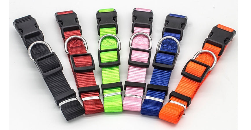New Pet Collar 19693301359734