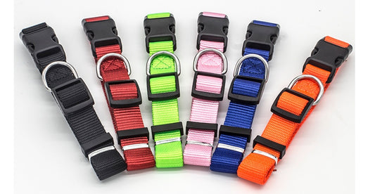 New Pet Collar 19693301359734