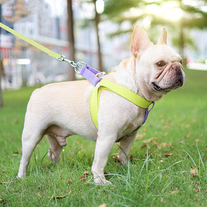 Color Pet Drawstring Leash Vest-style Dog Leash 19ccbf44 d8d3 459c b4fc b5813b30a2aa