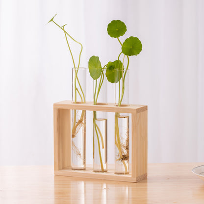 Creative Wooden Frame Hydroponic Plant Container Home Desktop Decorations 19ebb9c4 e9fe 45c3 833b 43a9d39a4009