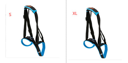 Pet Leg Strap Walking Support Dog Leg Support 1a1054d6 7ca3 458b 9bbd 1a6cf69f2b12