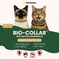 Pet Anti-mosquito Collar Cat Dog Adjustable Insect Repellent Collar Pet Supplies 1a1cb8ae f8a3 4a2b a873 abe7816bd243