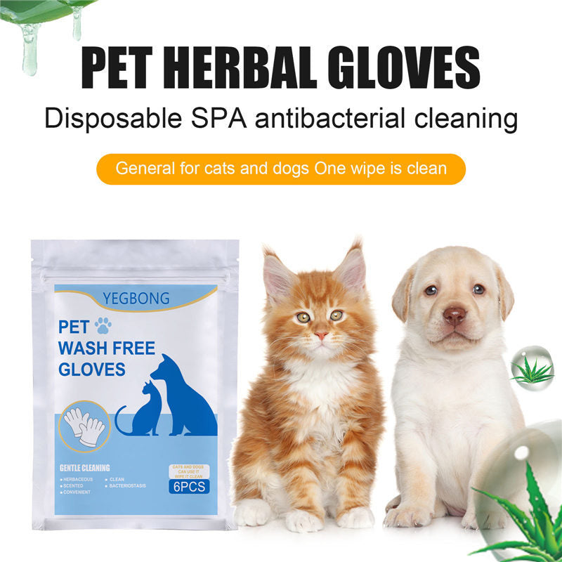 No-bath And Cat-free Non-woven Gloves 1a8d042d 99d5 4785 9d2b d3d5d1e50fae