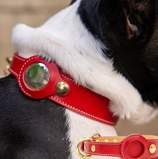 Fruit Tracker Collar Dog Positioning Collar Protective Leather Case 1ae85e41 d231 4aa2 9250 5fb4f1b99a9a