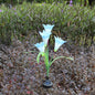 Solar Lily Colorful LED Artificial Lantern 1b7de494 7070 4c89 b785 7ce6448145fd