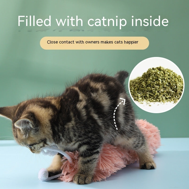 Caterpillar Ringing Paper Cat Toy Self-Hi Relieving Stuffy And Bite-resistant 1c130e4e 5844 4fb3 98d3 96de5db056d3 trans