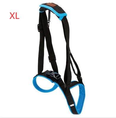 Pet Leg Strap Walking Support Dog Leg Support 1c6d6b8f 7fa0 434c 8338 1fd013b95b6a