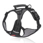 Pet Hand Holding Rope Vest-style Explosion-proof Reflective 1e923ab6 554f 4c49 933f c6d539b06143 e72cba2b d067 4d55 9062 683d