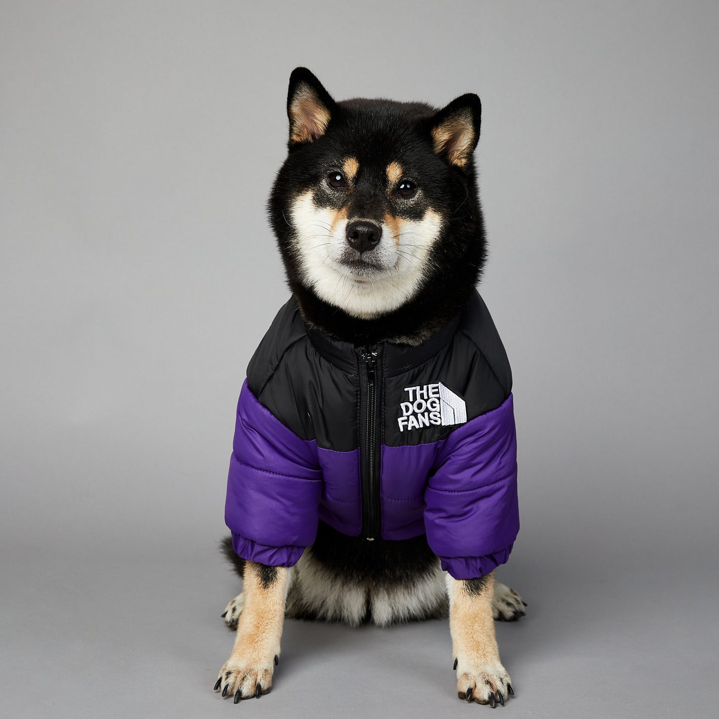 Windproof And Rainproof Dog Winter Warm Pet Cotton-padded Clothes 1f7448e0 ce07 4255 88ad c0b116d2c7ed