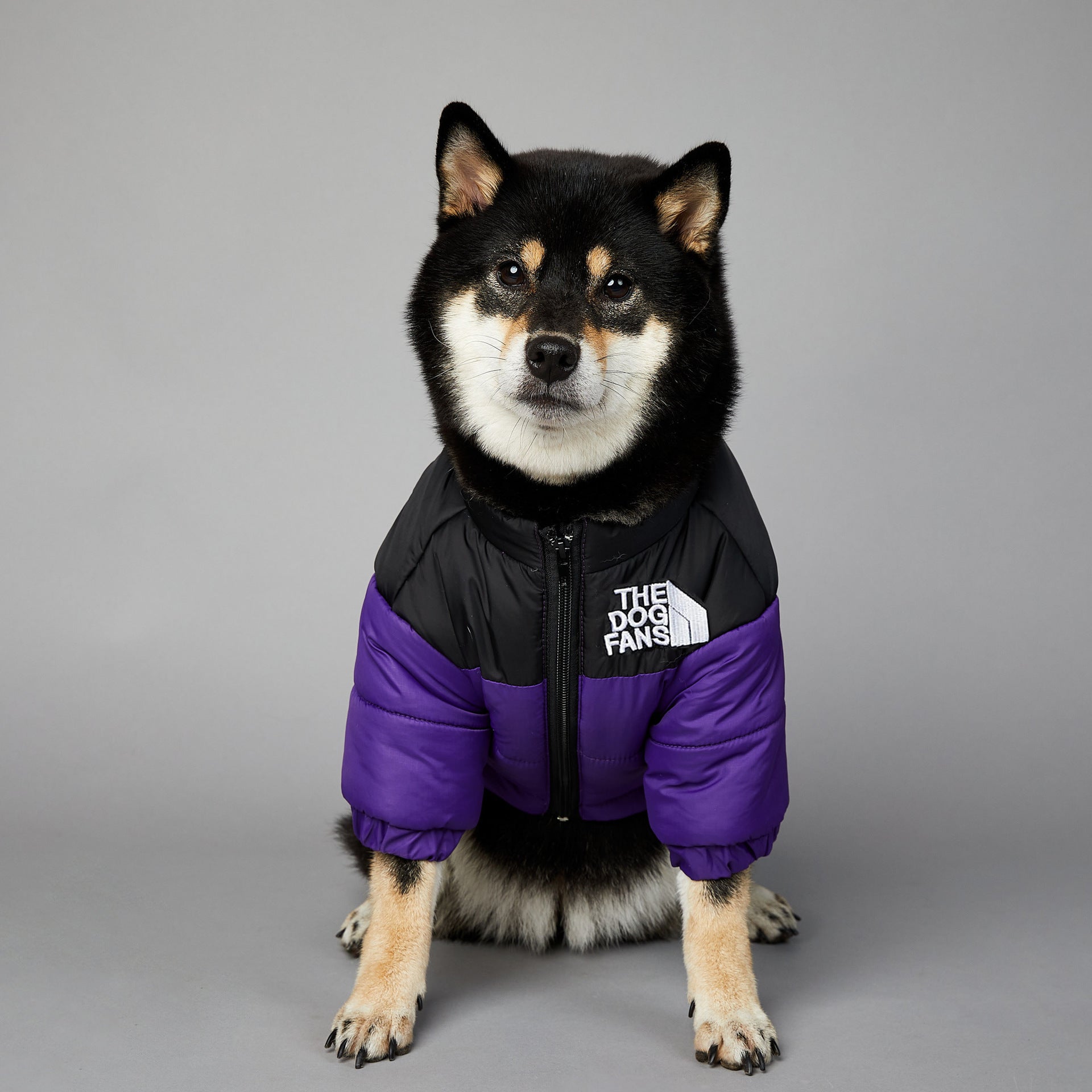 Windproof And Rainproof Dog Winter Warm Pet Cotton-padded Clothes 1f7448e0 ce07 4255 88ad c0b116d2c7ed