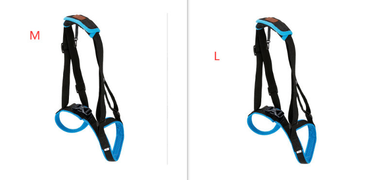 Pet Leg Strap Walking Support Dog Leg Support 1ffcd950 52ff 44ce 9ddb 1fac9265f654