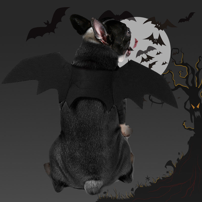 Pet bat wings clothes 2052576286266