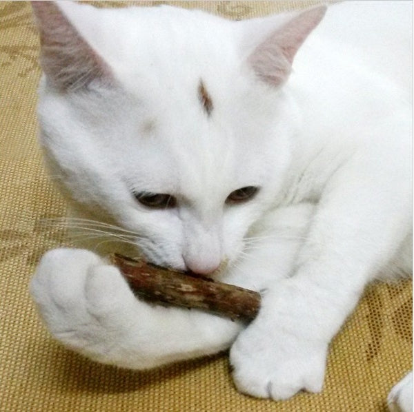 5 PCSMatatabi Toys  Catnip  Chew Toy for Pet Kitten - HD Wireless Product #3