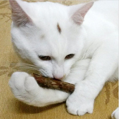 5 PCSMatatabi Toys  Catnip  Chew Toy for Pet Kitten - HD Wireless Product #3