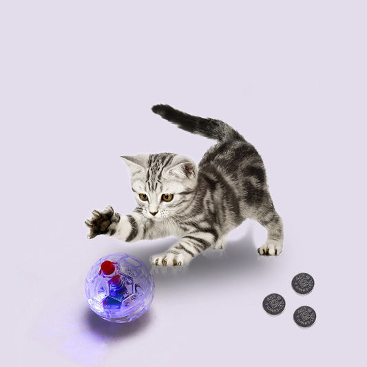 Cat Dog Toy Ball New Fashion Glowing Transparent Plastic Ball Pet Interactive Toy Funny Training Cat GlowBalls Toys Pet Produ
