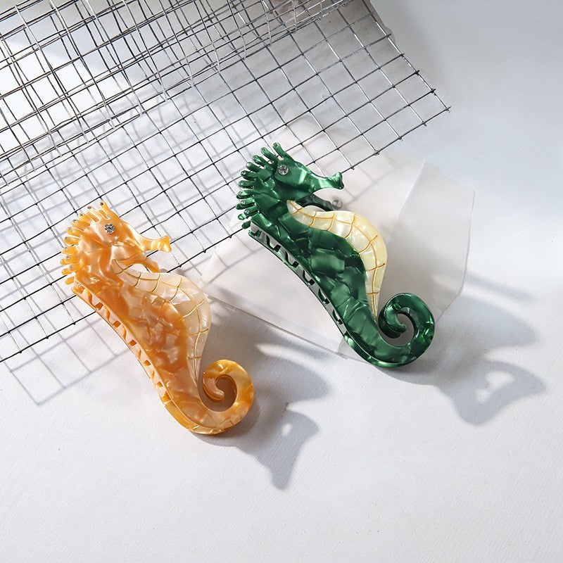 Hair Accessories Seahorse Head Acetate Clip Exquisite 2100a75d 3e76 42b7 9928 edb1ba1dd1e4
