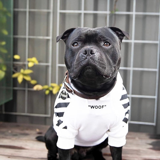 Pet tide brand dog plus velvet thick sweater 212931477552