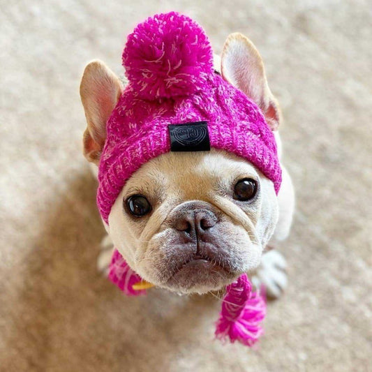 Wool Ball Thermal And Windproof Puffy Ball Knitted Dog Hat 22330ce2 a5d9 42b2 8c38 bf816561407e