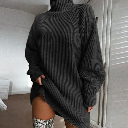 Solid Turtleneck Long Sweater Winter Warm Women Sweater Dress 2339156717320