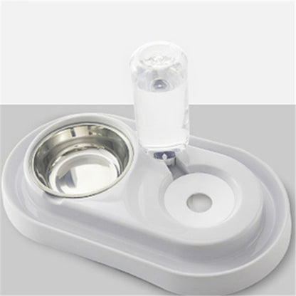 Dog bowl 2361545304792
