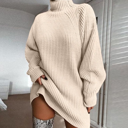 Solid Turtleneck Long Sweater Winter Warm Women Sweater Dress 2378640086256