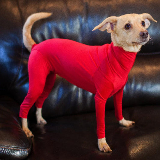 Pet Dog Jumpsuit Medium Large Dog Pajamas Anxiety 2378fc36 05a8 4ac1 9a73 9b0c231e5dfd