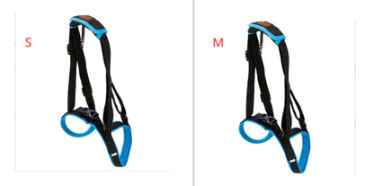 Pet Leg Strap Walking Support Dog Leg Support 23bde0c0 0904 417d 9701 dc7e60facc4d
